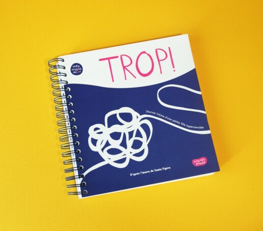 Livre en braille et gros caractères. Adaptation de TROP !