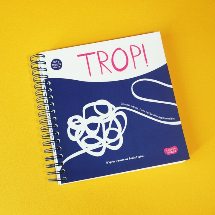 Livre en braille et gros caractères. Adaptation de TROP !