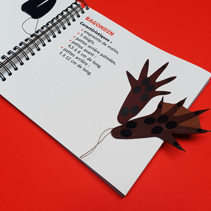 intérieur du livre Pas à Pas avec une image tactile de l'empreinte de ragondin