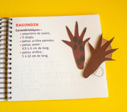 Page int&eacute;rieur du livre Pas &agrave; pas